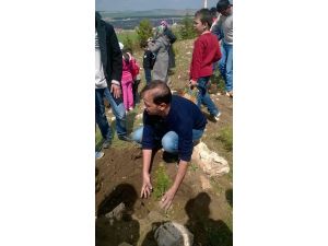 Sorgun'da Öğrenciler Fidan Dikti