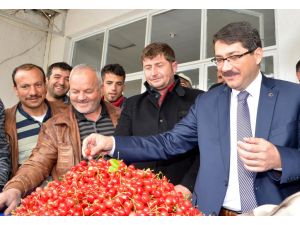 Manisa'da Sezonun İlk Kirazı