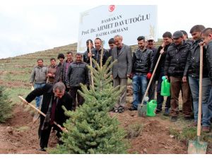 Başbakan Davutoğlu Adına Hatıra Ormanı