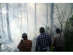 Muğla'daki Orman Yangını