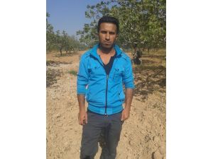 Kpss Mağduru Ekmeğini "Gündelik İşlerden" Çıkarıyor