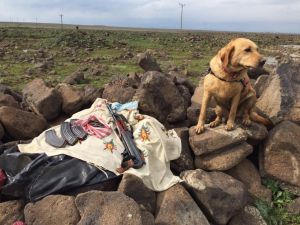 Diyarbakır'daki Silahlı Kavga