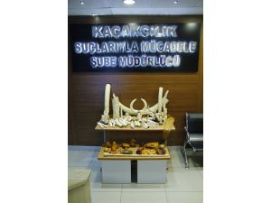 İstanbul'da "Fildişi" Operasyonu