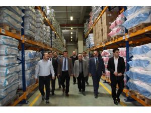 Şahin Ve Acehan, Şabanözü'nde