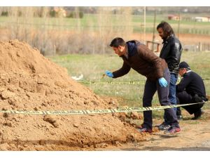 ''Top'' Zannederek Tekmeledi, İnsan Kafatası Çıktı