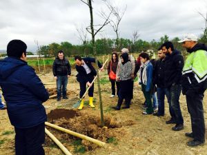 Şehit Savcı Kiraz İçin Hatıra Ormanı