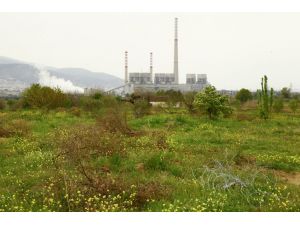 Soma'daki Maden Faciası Davası