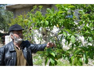 Kanımızın Son Damlasına Kadar Bayırbucağı Terk Etmeyeceğiz