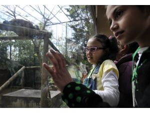 Suriyeli Çocuklar 23 Nisan Mutluluğunu Yaşadı