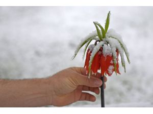 Doğu'da Kar Yağışı