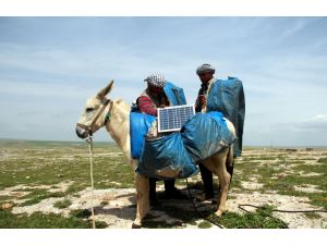 Telefonun Şarjı Eşek Sırtındaki Güneş Panelinden