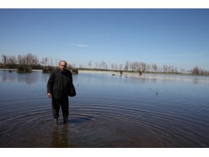 Balık Gönüllüleri "Yumurta" Nöbetinde