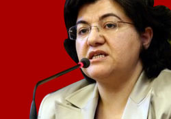 Grup toplantılarını Kürtçe yapabiliriz