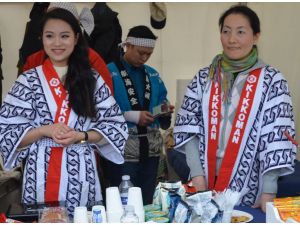 Kopenhag'da Sakura Festivali