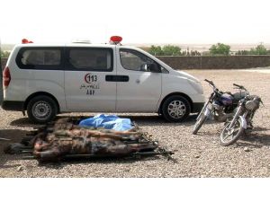 Afganistan'da Çatışma: 6 Ölü
