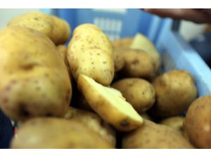 "Patateste Makul Fiyat İçin Yıllık 5 Milyon Ton Üretim Şart"