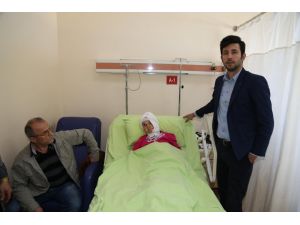 Ayının Saldırısına Uğrayan Yaşlı Kadın Ağır Yaralandı