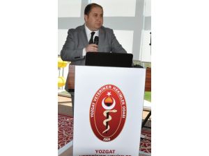 Dünya Veteriner Hekimler Günü