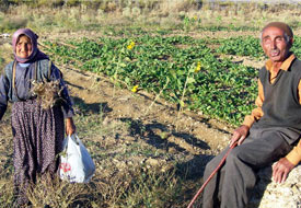 Yalnız yaşayan yaşlı çift dolandırıldı