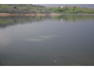 Kırklareli'nde Baraj Gölüne Otomobil Düştü