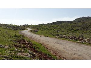 Diyarbakır'da Baraj Yolunda Patlayıcı Düzenek Bulundu