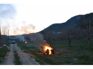 İhracata Giden Kiraz "Duman"la Korunuyor