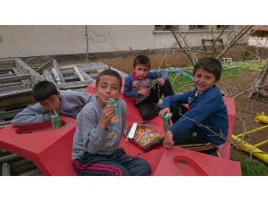 Oyun Parklarını Kendileri Yaptılar