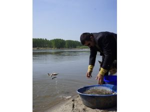 Tarlalardan Balık Tutuyorlar