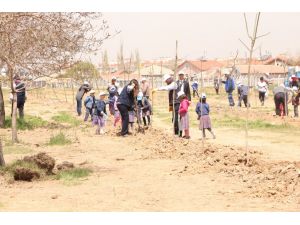 Karatay'da Ağaçlandırma Çalışmaları