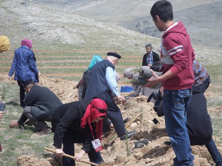 Gül Gençlik Derneği’nden fidan dikimi