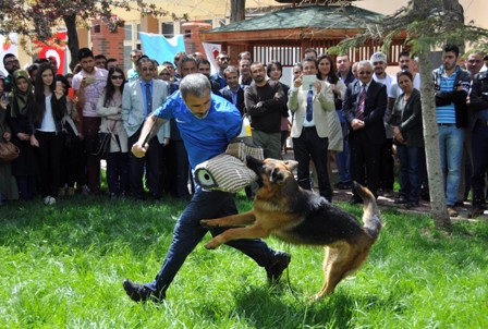 Köpeklerin eğitim gösterisine izleyicilerden yoğun ilgi