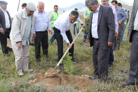 Hedef, Türkiye nüfusu kadar ağaç dikmek