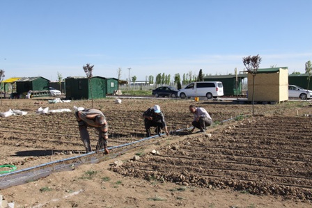 Hançerli hobi bahçelerini yerinde inceledi