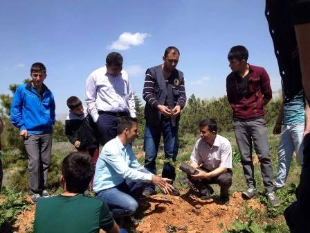 Ilgın'da ağaç dikim kampanyası