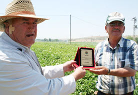 Taşla kaplı alanı tarla yaptı