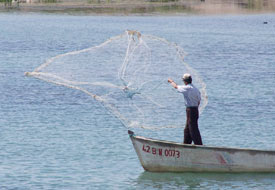 Beyşehir Gölü'nde tek tür balık dönemi