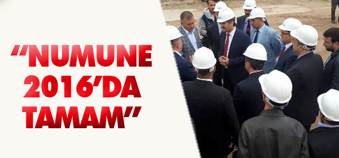 Numune 2016’da tamamlanacak