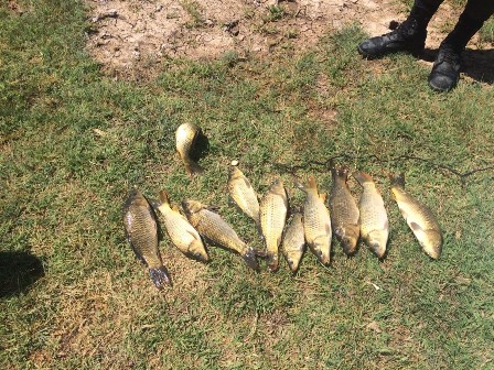 Kaçak balık avlayanlara suçüstü