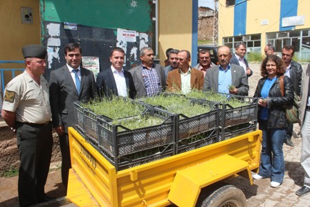 Lavanta bitkisi üretimi başlıyor