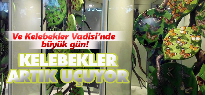 Kelebekler Vadisi'nde büyük gün!