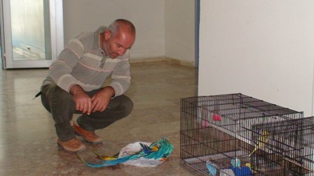 17 Bin lira değerinde kuş çalan şüpheliler tutuklandı