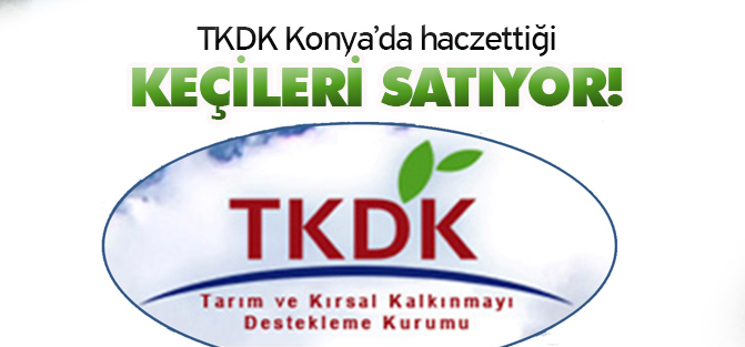 TKDK Konya'da haczedilen keçileri satıyor