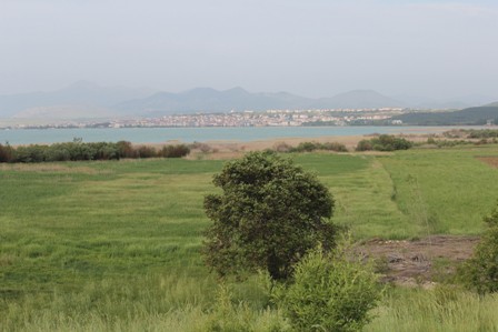 Yağışlar üreticinin yüzünü güldürdü