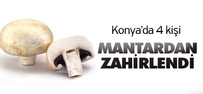 Beyşehir’de 4 kişi yedikleri mantardan zehirlendi