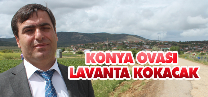 Konya Ovası lavanta kokacak