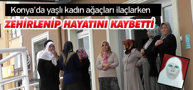 Konya'da yaşlı kadın ağaçları ilaçlarken zehirlenip hayatını kaybetti