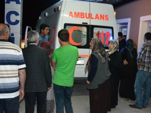 Motosiklet ineğe çarptı: 2 yaralı