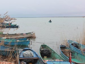 Beyşehir Gölü'nde balık av yasağı sona eriyor