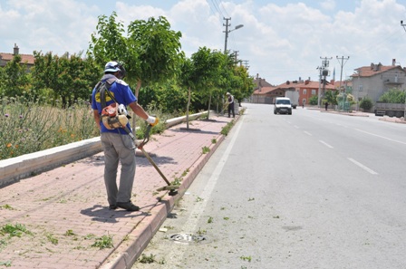 Karatay’da yabani ot temizliği