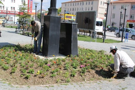 5 bin çiçek fidesi dikiliyor